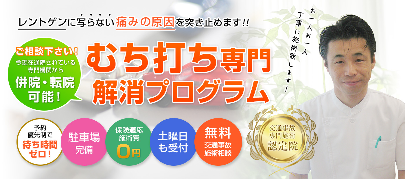 東京都江戸川区の交通事故治療専門院 江戸川区交通事故治療むち打ち専門整骨院